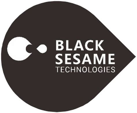Black Sesame Technologies Singapore